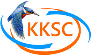 Kingsbridge kingfishers swimming club